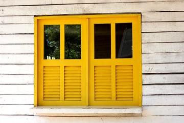 Yellow window