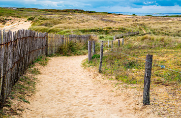 Fototapeta na wymiar Path to sand beach with beachgrass. Way to the wide sandy beaches of the Atlantic.