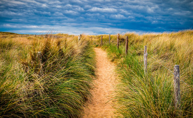 Path to sand beach with beachgrass. Way to the wide sandy beaches of the Atlantic.