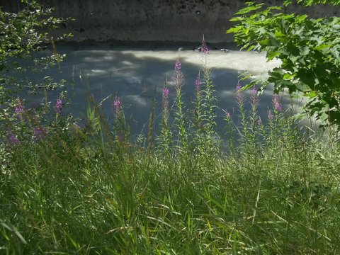 Vues sur rivi&egrave;re
