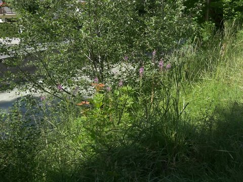 Vues sur rivi&egrave;re