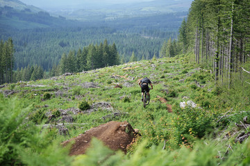 Fototapeta premium Trail Speed