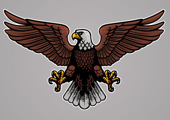 Naklejka premium bald eagle spread his wings