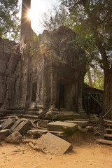 Obraz premium Ruins of Ta Prohm, Angkor Wat, Cambodia