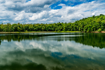 Obraz na płótnie Canvas Mountain trees and green lake