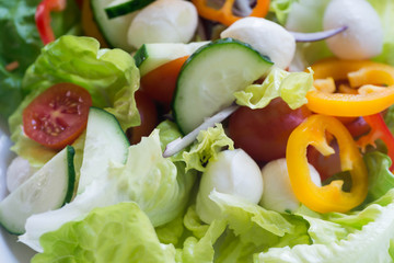 fresh lettuce salad selective focus