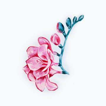 11 件の最適な Freesia Tattoo 画像 ストック写真 ベクター Adobe Stock