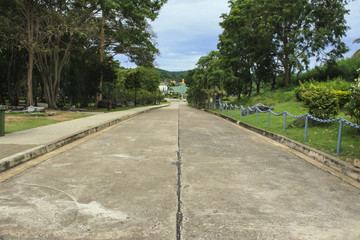 country road running through tree