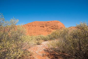 The landscape of Australian outback in Northern Territory state of Australia.