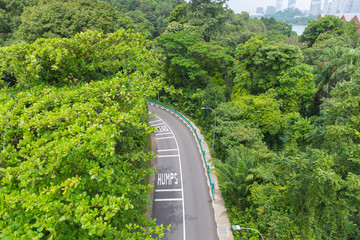 top view of curving road with trees in a public park