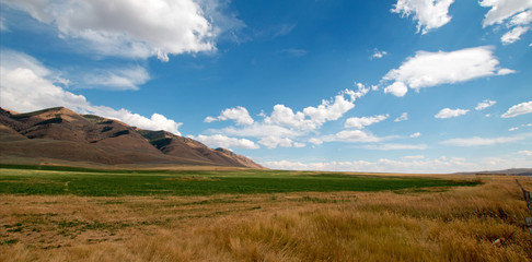 Fototapeta na wymiar Alfalfa hayfield and wheat field under cumulus clouds in Wyoming USA