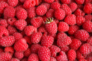 Fresh and sweet raspberries background