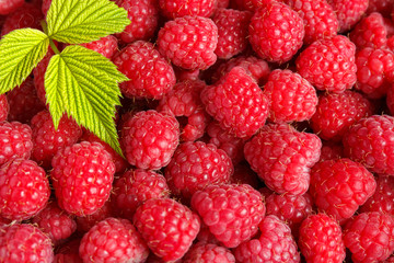 Fresh and sweet raspberries background