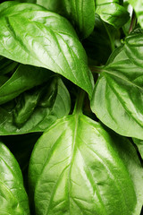 basil leaves