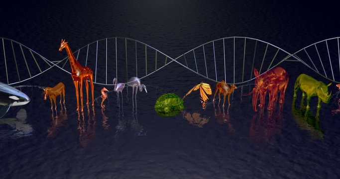 DNA molecule Biodiversity, variety of animals reflected in water. Camera zoom out.3d animation
