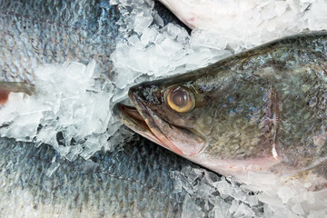 Variety of Raw Fresh Fish Chilling on Bed of Cold Ice in Seafood Market.