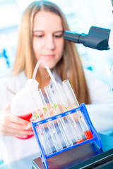 Research of photosynthesis of green plants. Food quality control of agricultural plans