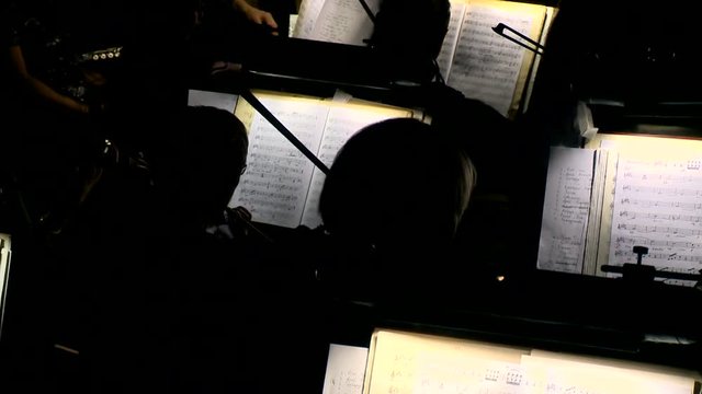 The symphony orchestra plays classical music in the orchestra pit in the opera house. Close-up, silhouette