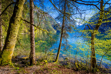 Obraz premium Königssee - Germany