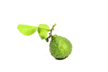 Kaffir lime and kaffir lime leaf on white background