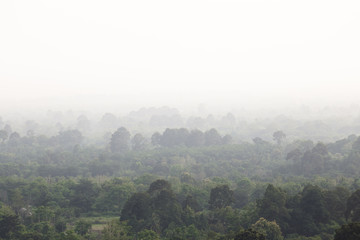aerial view of forest over the dusk