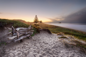 Fototapeta na wymiar Driftwood bench seat on sand dunes overlooking Mount Maunganui Beach at sunset.