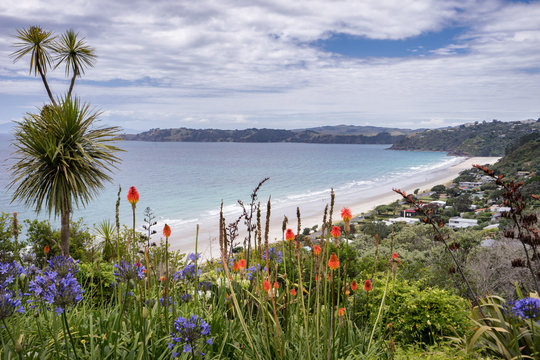 Landscape photo of Onetangi Beach, Waiheke Island, New Zealand