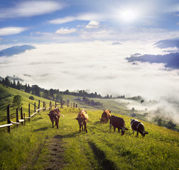 Fototapeta premium Dawn over the village of Verkhovyna
