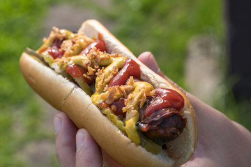 Hot Dog with grilled bacon wrapped sausage, ketchup, yellow mustard, fried onion and pickles