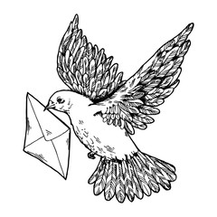 Obraz premium Postal dove with letter engraving style vector