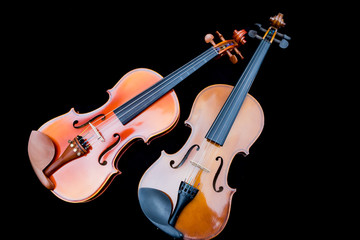 close-up violin