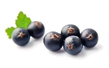 Black currant.
