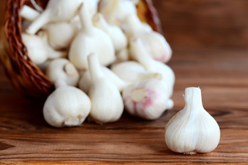 Raw young garlic in a basket on a wooden background. Aromatic product, health food. Closeup