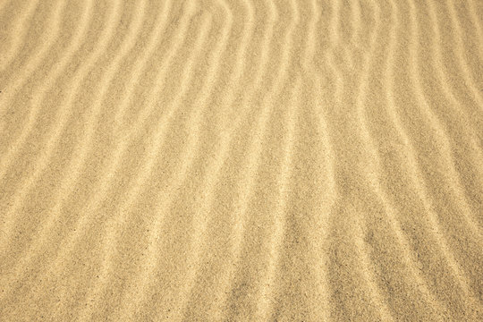 Sand Texture./ Sand Texture. 