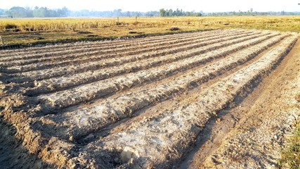 Furrows row pattern of plowed agricultural fields prepared for planting crops