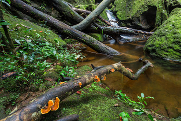 Sai Thip waterfall at Phu Soi Dao National park, thailand