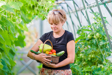 Woman with basket of greenery and vegetables in the greenhouse. Time to harvest.