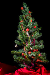 Christmas tree on black background