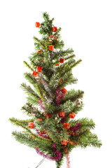 Christmas tree on white background