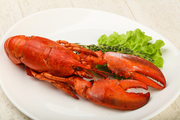 Lobster
