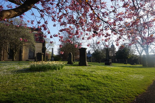 Greyfriars Kirkyard