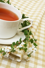 herbal tea