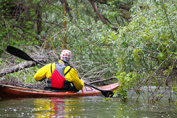 Man in selfmade brown wooden kayak in red and yellow life jacket kayaking in wild river among thickets of plants on biosphere reserve in spring