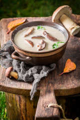 Yummy boletus cream with mushrooms and parsley