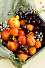 Cherries, apricots and peaches in a box on a yellow background (close-up)