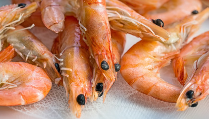 Frozen shrimp lay on a white background.