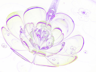 Light violet fractal flower, digital artwork for creative graphic design