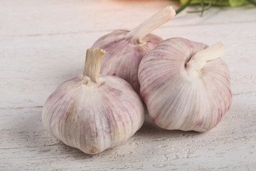 Garlic