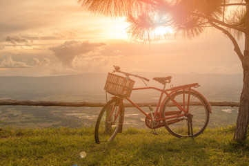 Obraz premium Beautiful landscape of red classic bicycle and little pine tree against sunset sky