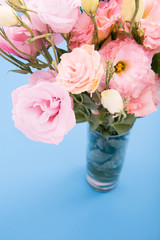 Close-up view of beautiful blooming pink flowers in vase isolated on blue